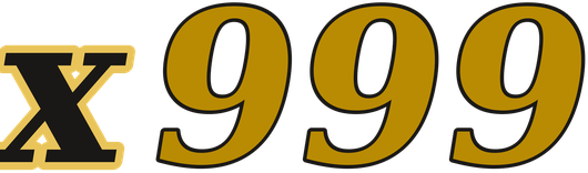 x999 logo